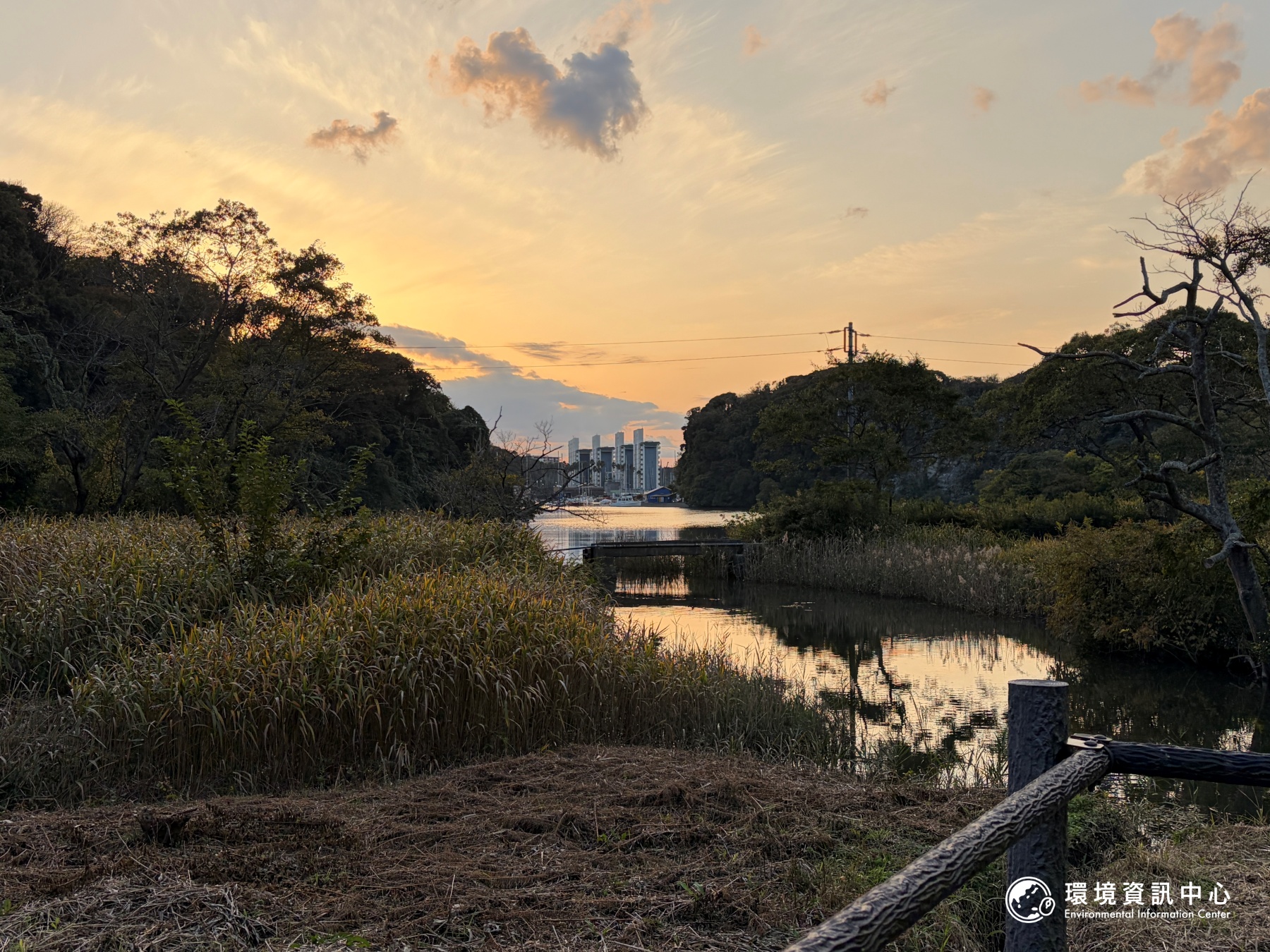 擋下高爾夫球場，卻「完全沒有吵架」——小網代之森的流域守護故事's story cover image