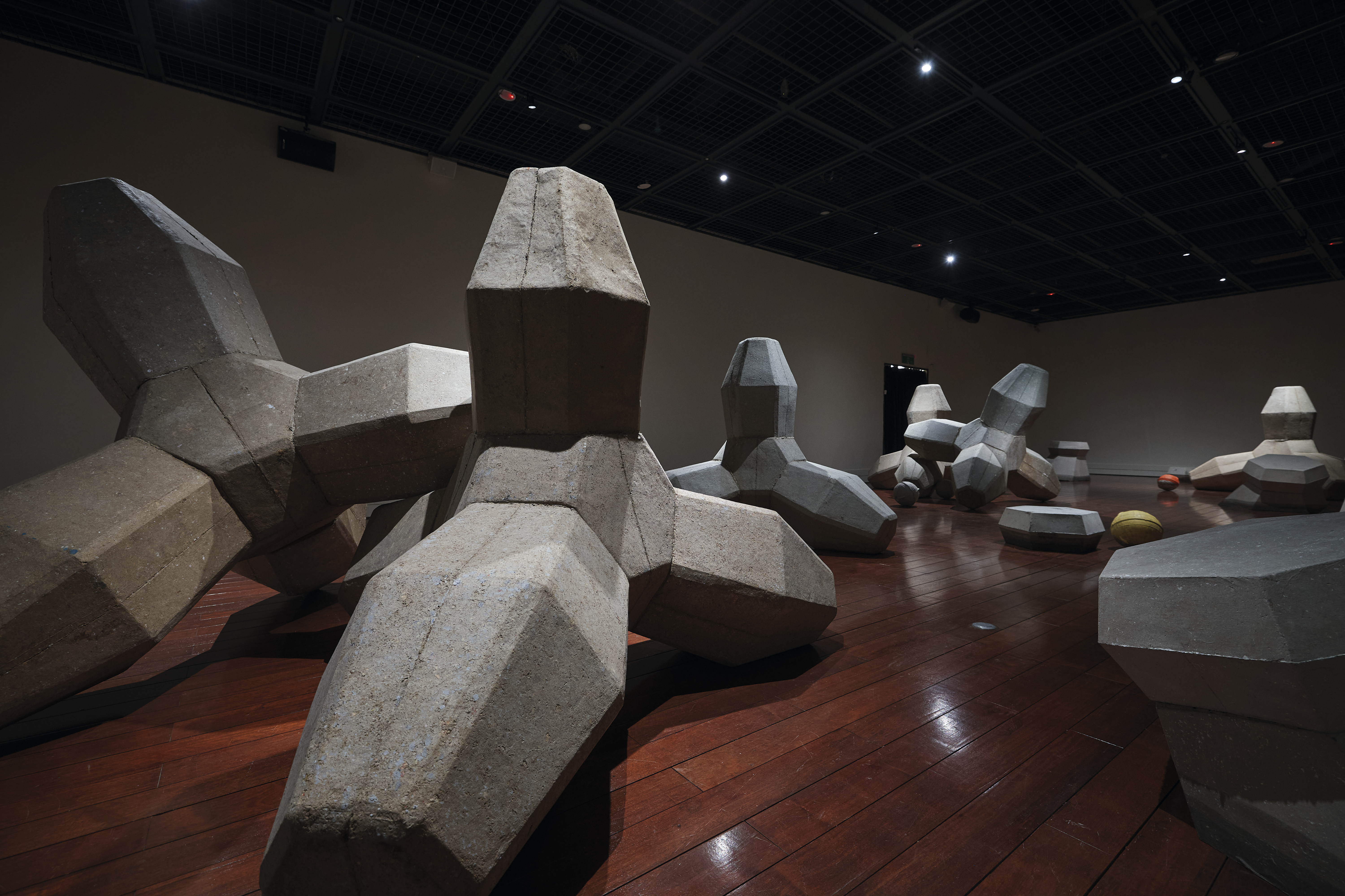 三腳狗、消波塊、獵人足跡 《潛行》以藝術穿越東部歷史、文化與環境's OG Image