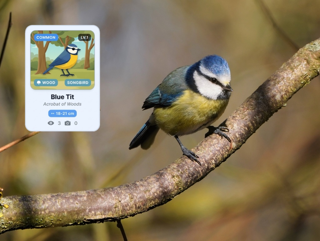 把自然變成遊戲 英國Birdex賞鳥APP「像寶可夢一樣好玩」's story cover image