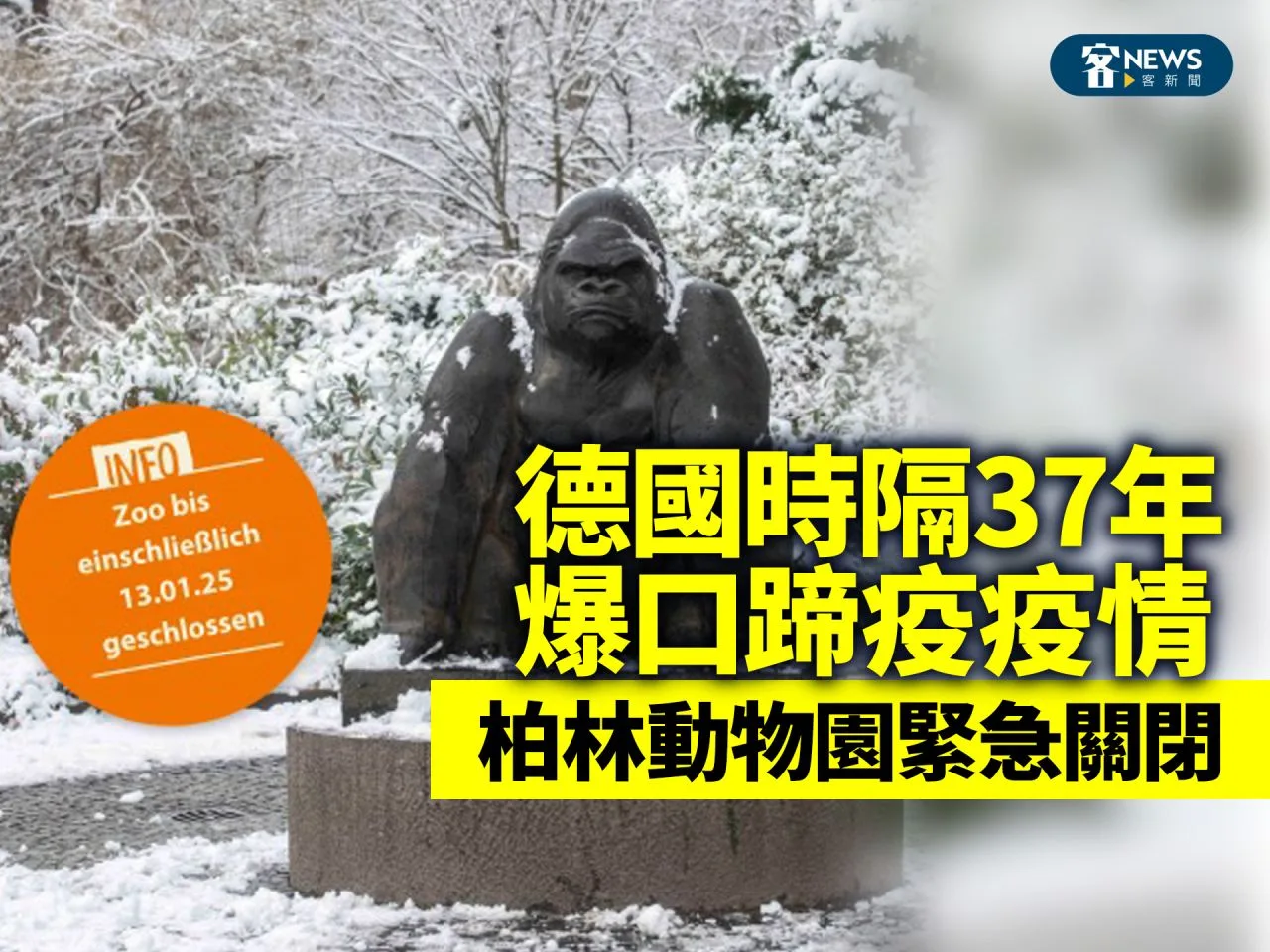 德國時隔37年爆口蹄疫疫情　柏林動物園緊急關閉