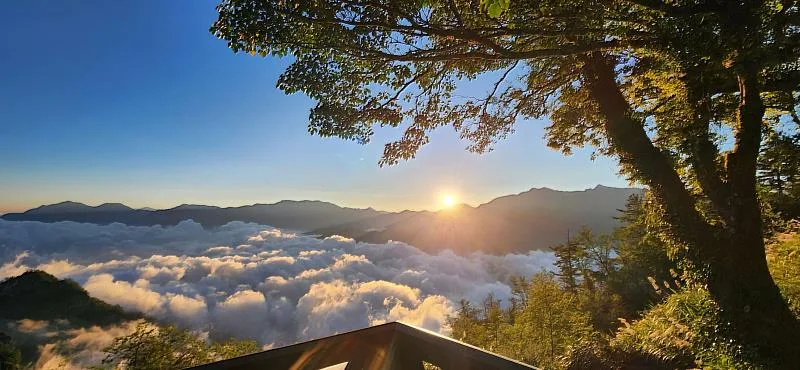 走春遊山海　阿里山賞日出、鰲鼓濕地版畫紅包