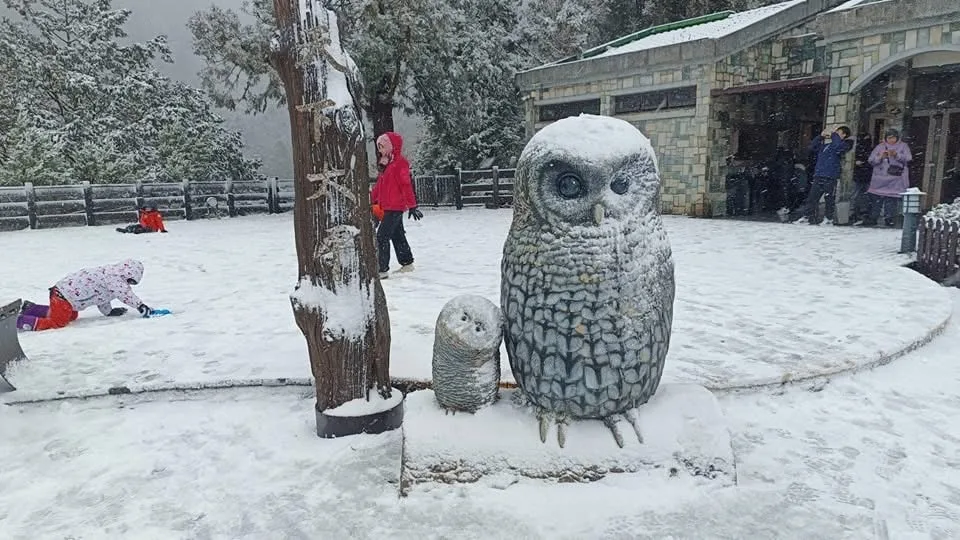 寒流來襲、多處下雪　台中以北防6度以下低溫