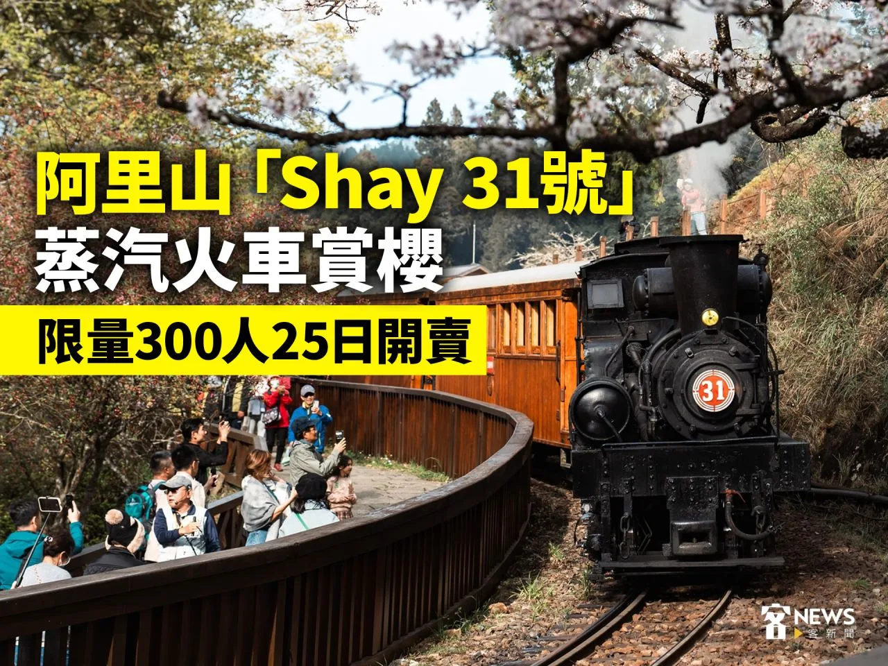 阿里山「Shay 31號」蒸汽火車賞櫻　限量300人25日開賣