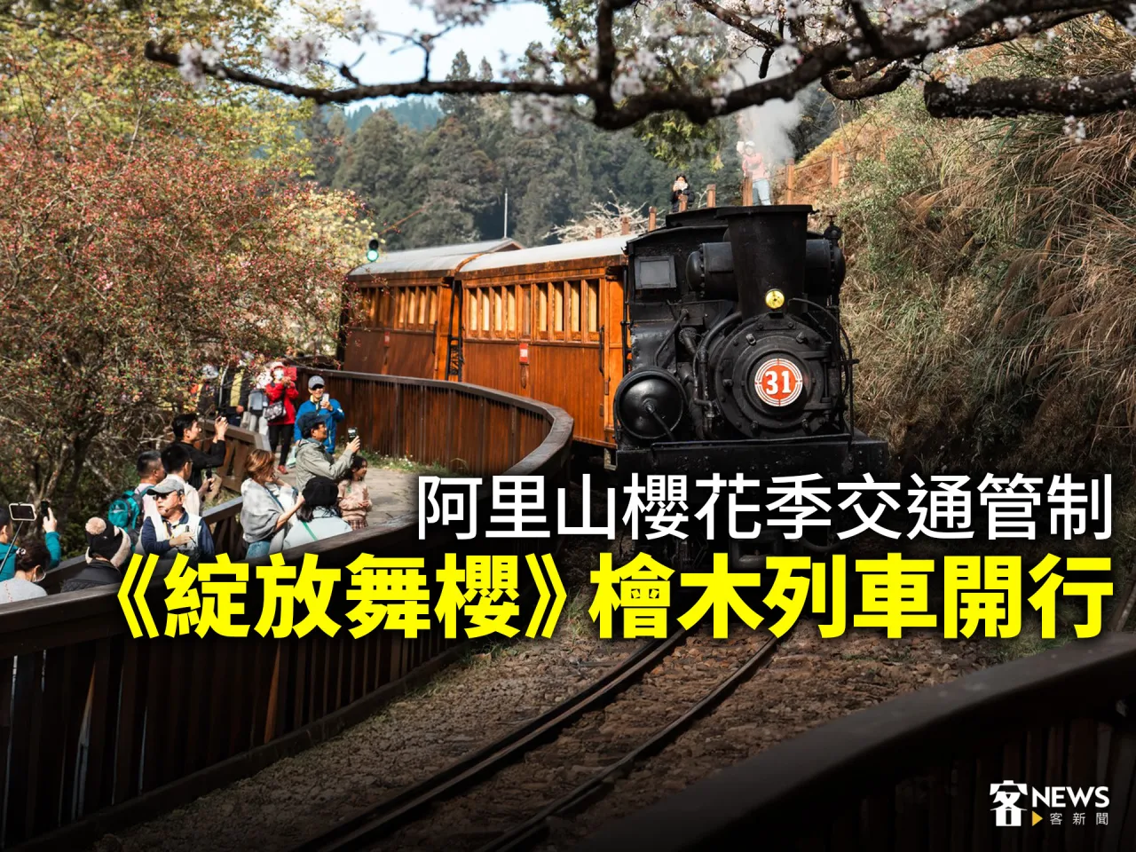 阿里山櫻花季交通管制　《綻放舞櫻》檜木列車開行