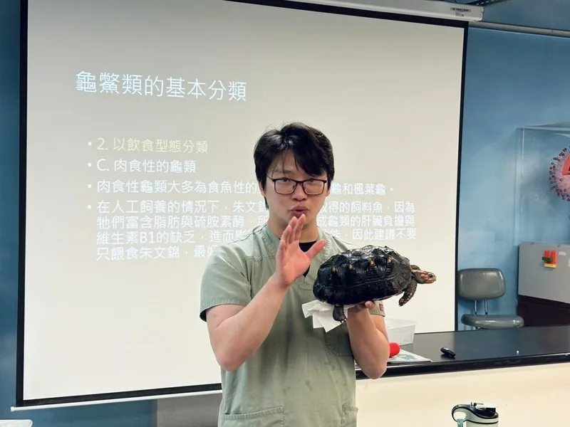 高市推小小獸醫體驗營　讀懂狗狗貓咪語言探索動物's story cover image