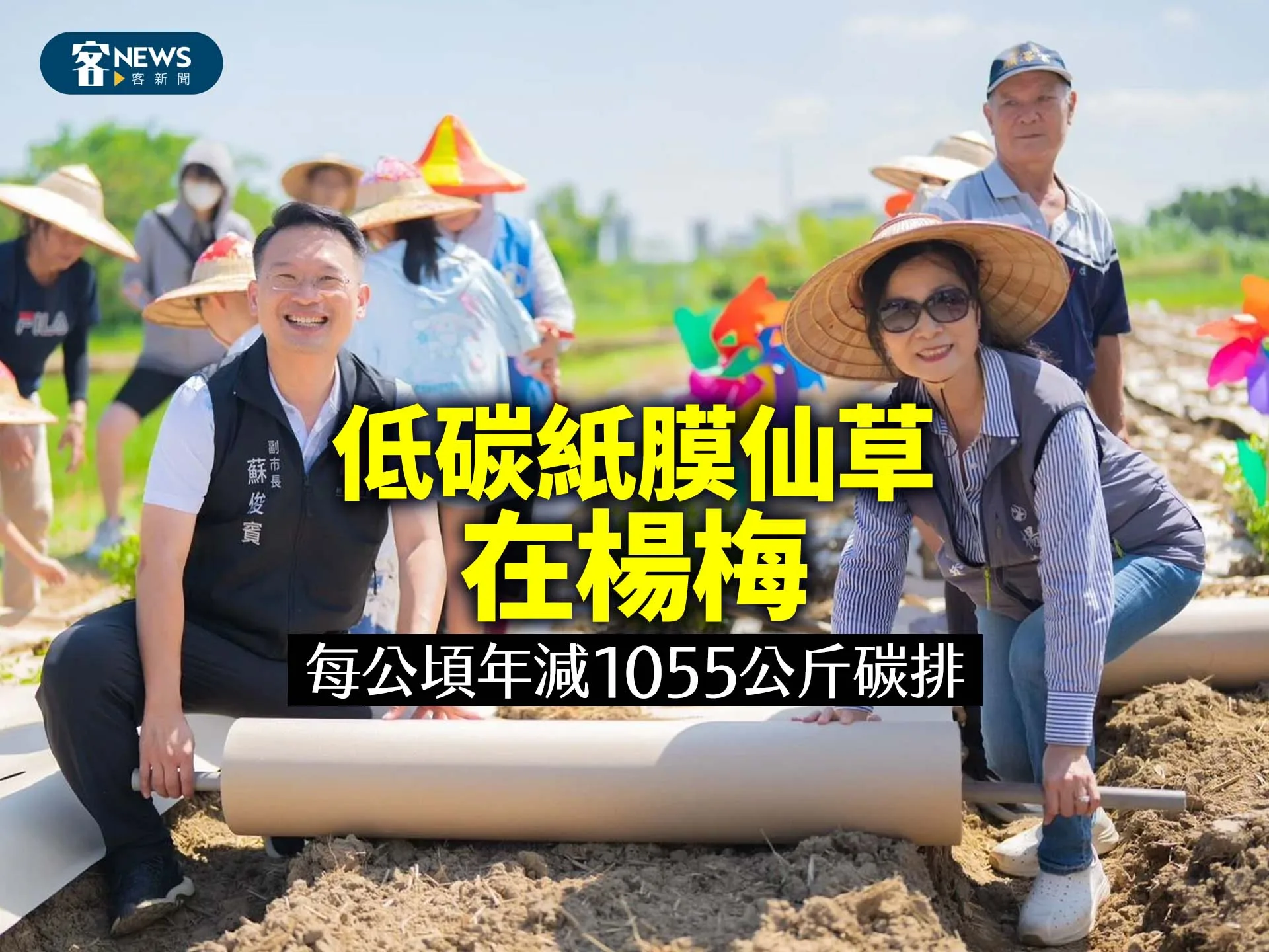 低碳紙膜仙草在楊梅　每公頃年減1055公斤碳排's story cover image