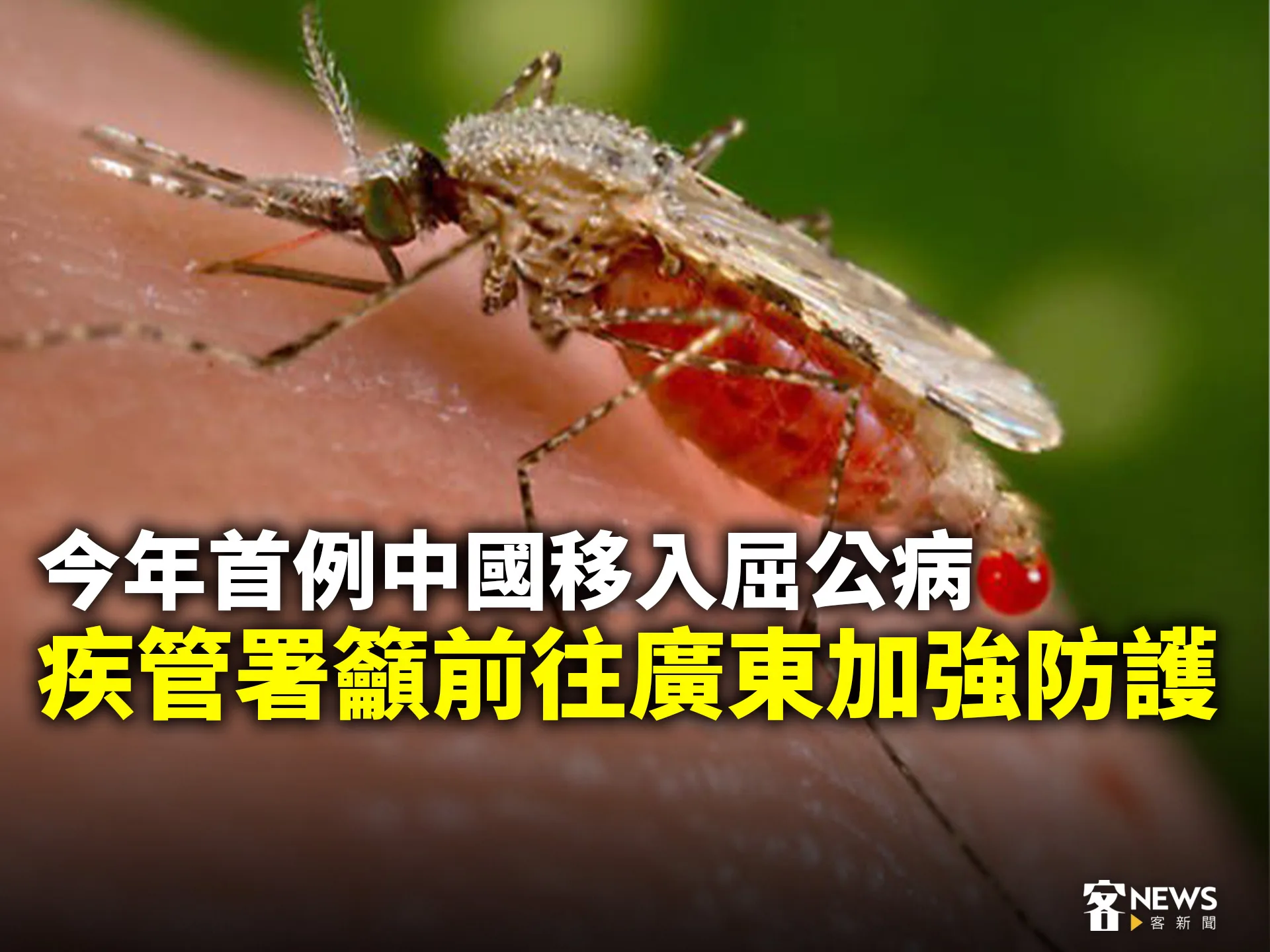 今年首例中國移入屈公病　疾管署籲前往廣東加強防護's story cover image