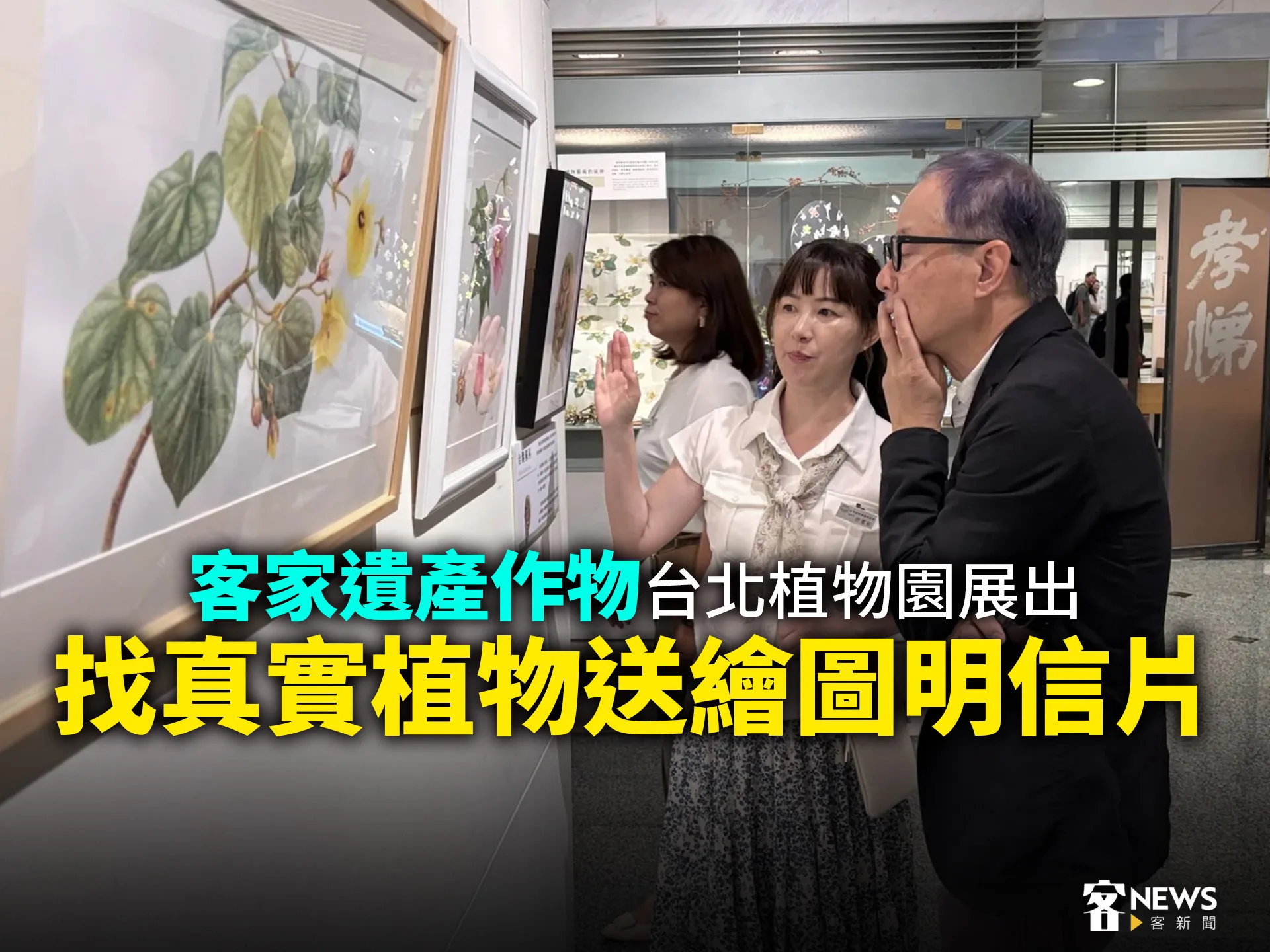 客家遺產作物台北植物園展出　找真實植物送繪圖明信片　's story cover image