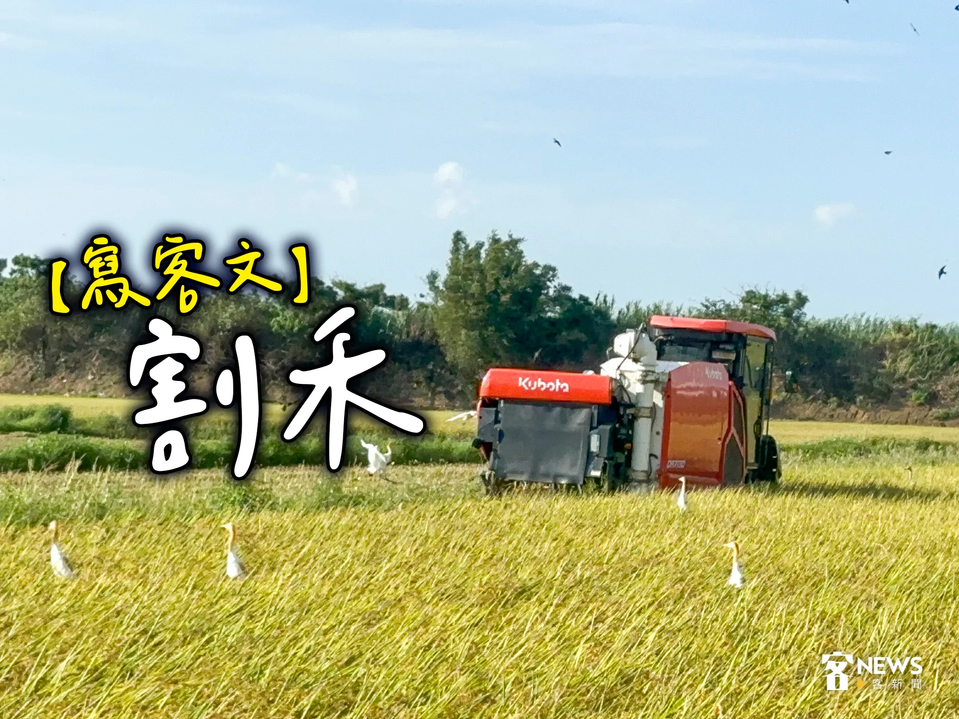 【寫客文】割禾's story cover image