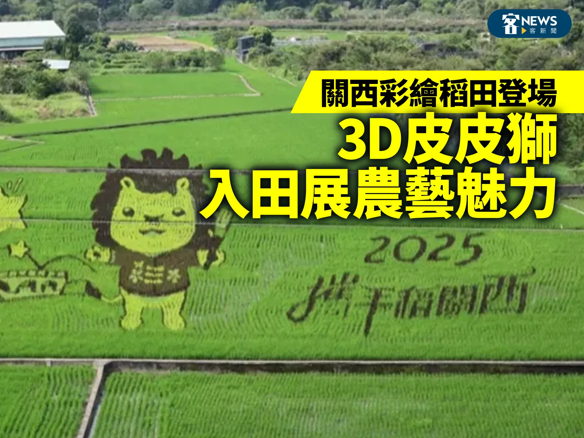 關西彩繪稻田登場　3D皮皮獅入田展農藝魅力's story cover image