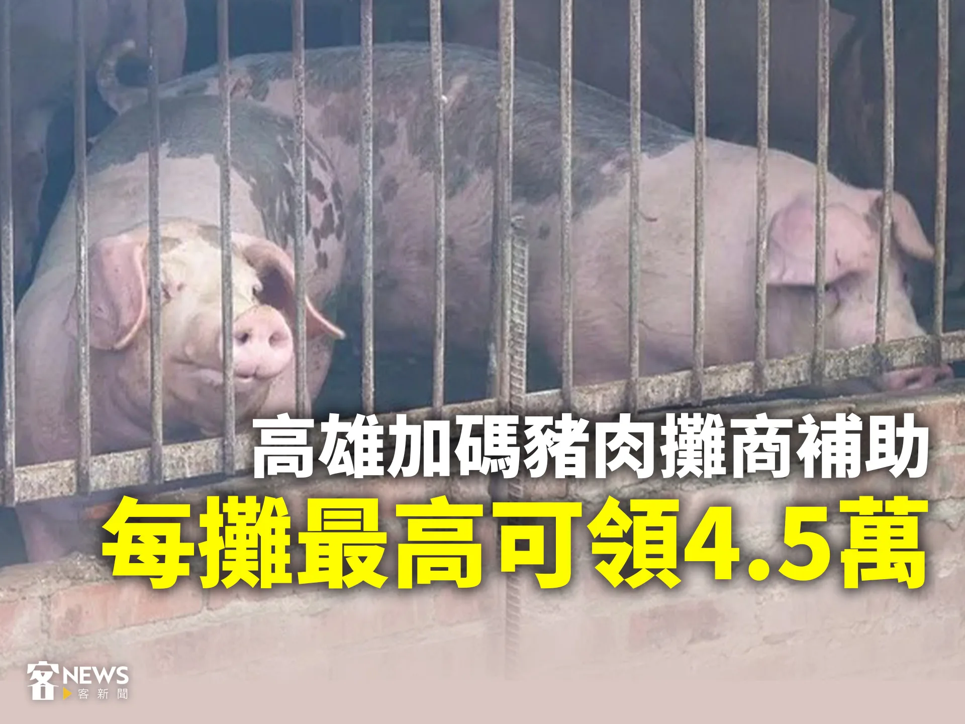 非洲豬瘟／高雄加碼豬肉攤商補助　每攤最高可領4.5萬's story cover image