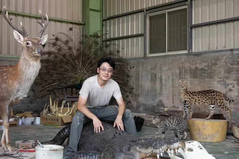 標本製作留住靈光　文總「匠人魂」揭標本師職業面紗's story cover image