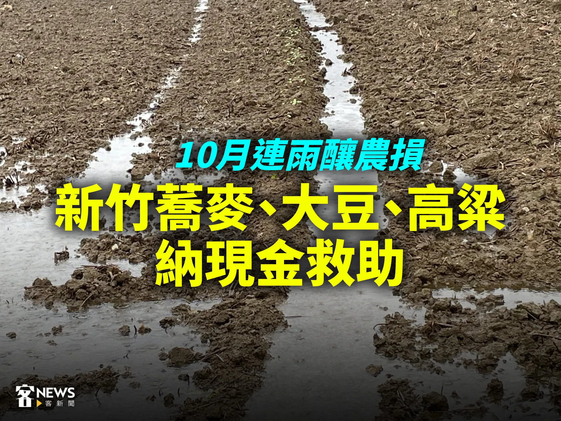 10月連雨釀農損　新竹蕎麥、大豆、高粱納現金救助's story cover image