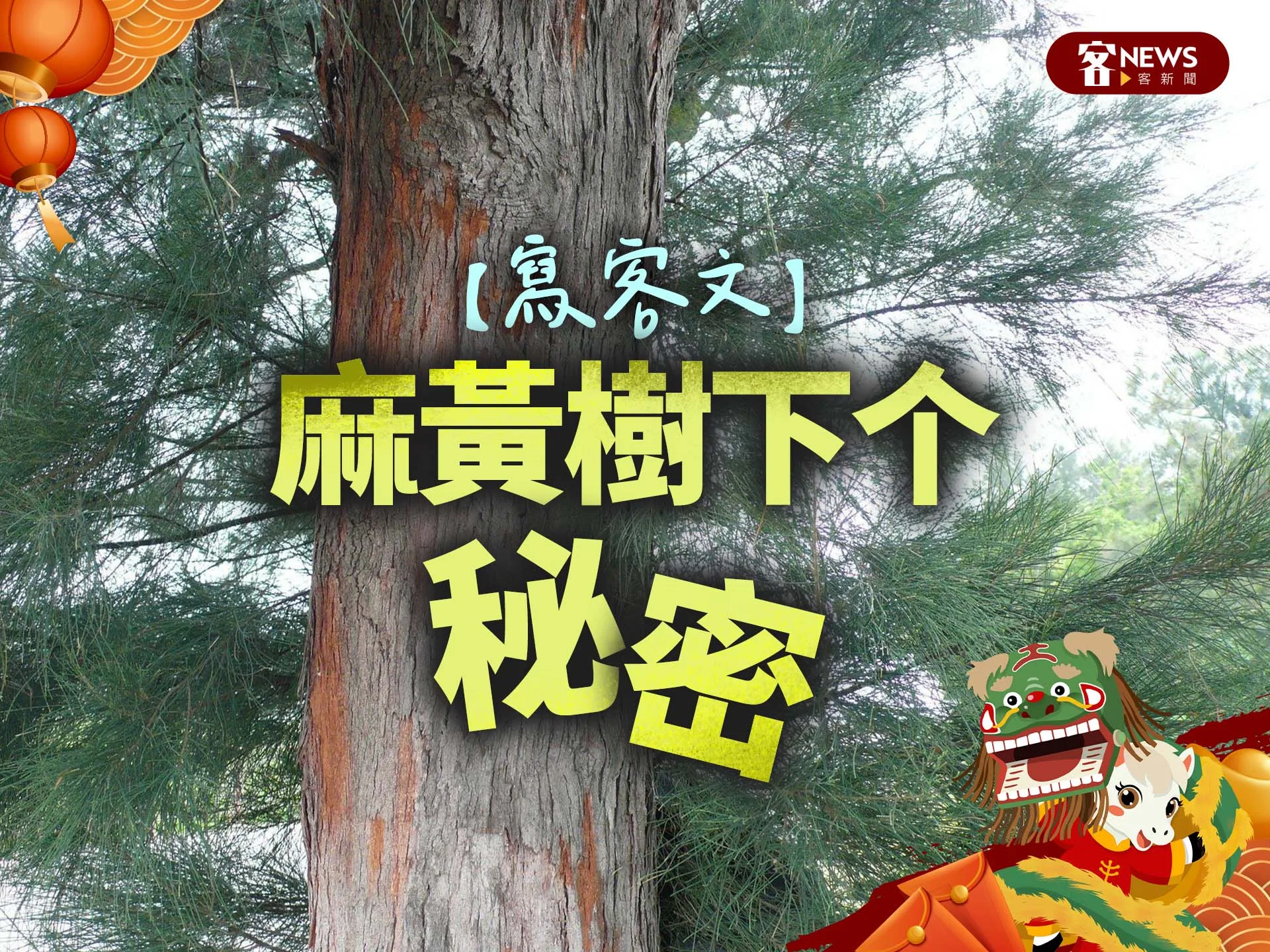 【寫客文】麻黃樹下个秘密's story cover image