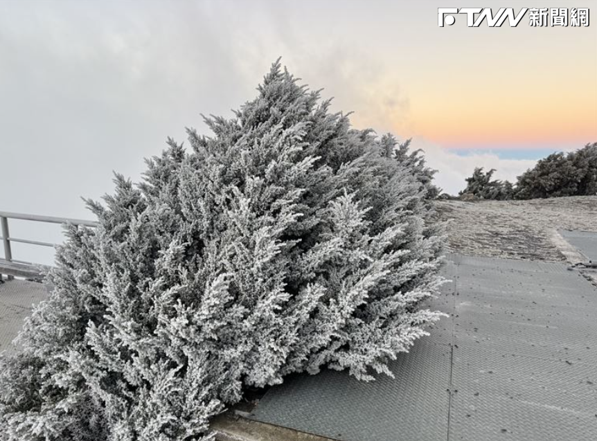 玉山今晨-4.1℃結冰了！「雪白霧淞落屋簷」宛若聖誕薑餅屋　絕美仙境畫面曝