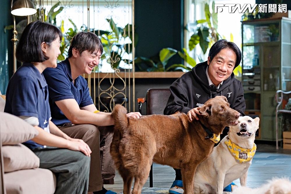 為愛犬下廚秀「單手打蛋」技！賴清德寵物料理要先過「4隻米克斯評審」這關