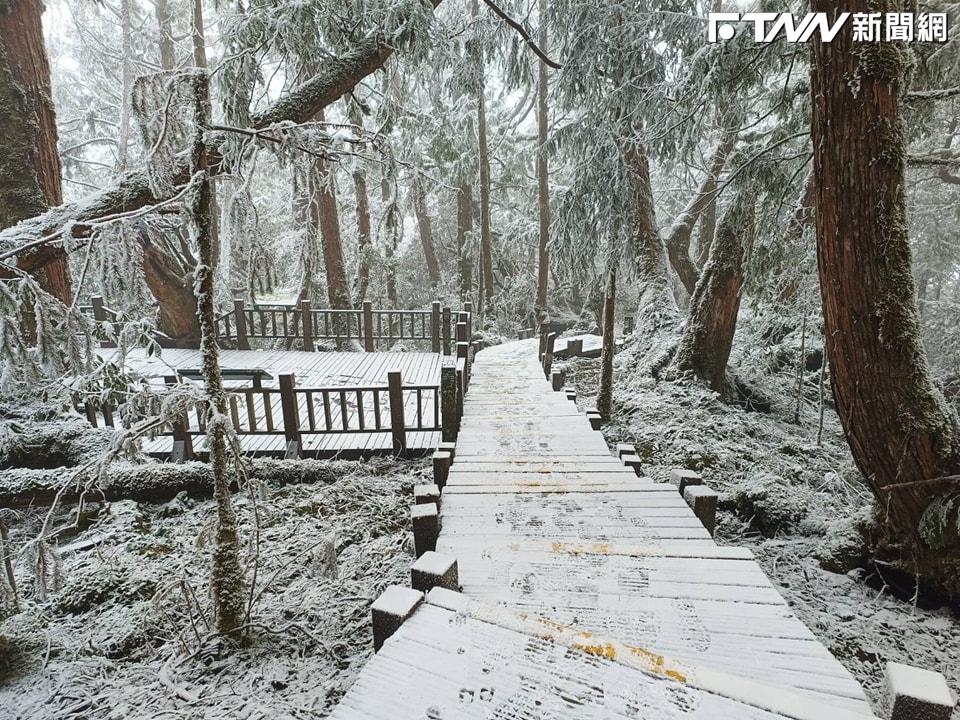 冰雪美景曝光！宜蘭太平山銀白霧淞妝點　檜木原始林步道宛如人間仙境