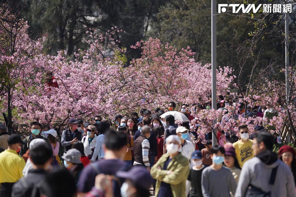 新竹公園「明星動物」年後失蹤！市民憂成冬令進補食材　邱臣遠出手整頓