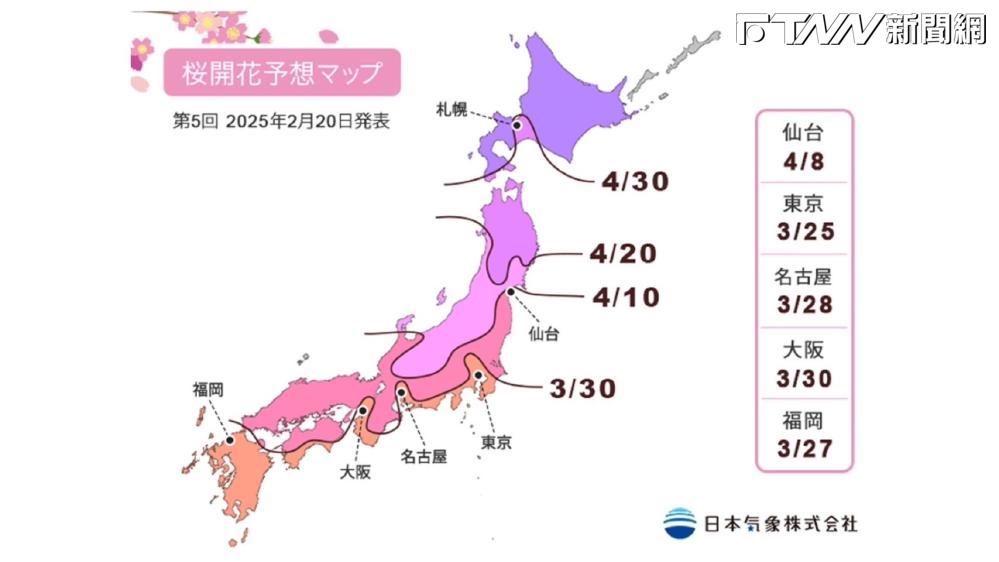 2025日本東京賞櫻攻略！7大必去景點推薦 