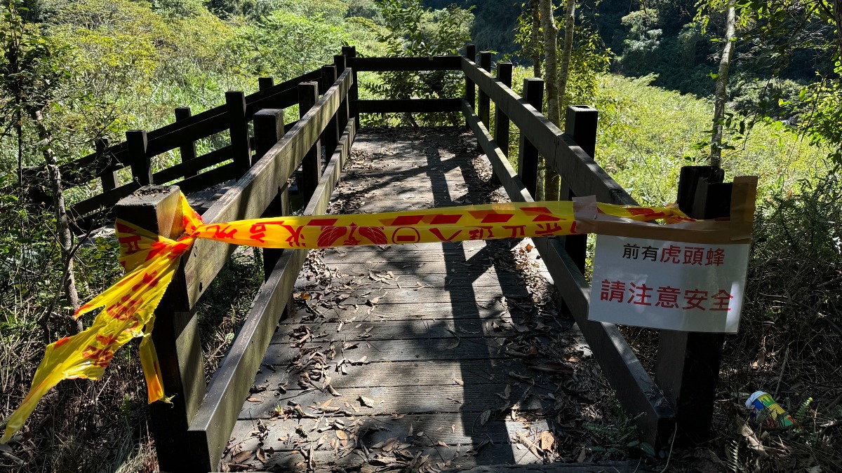 新／苗栗泰安水雲瀑 傳4人遭虎頭蜂攻擊 現場緊急封閉