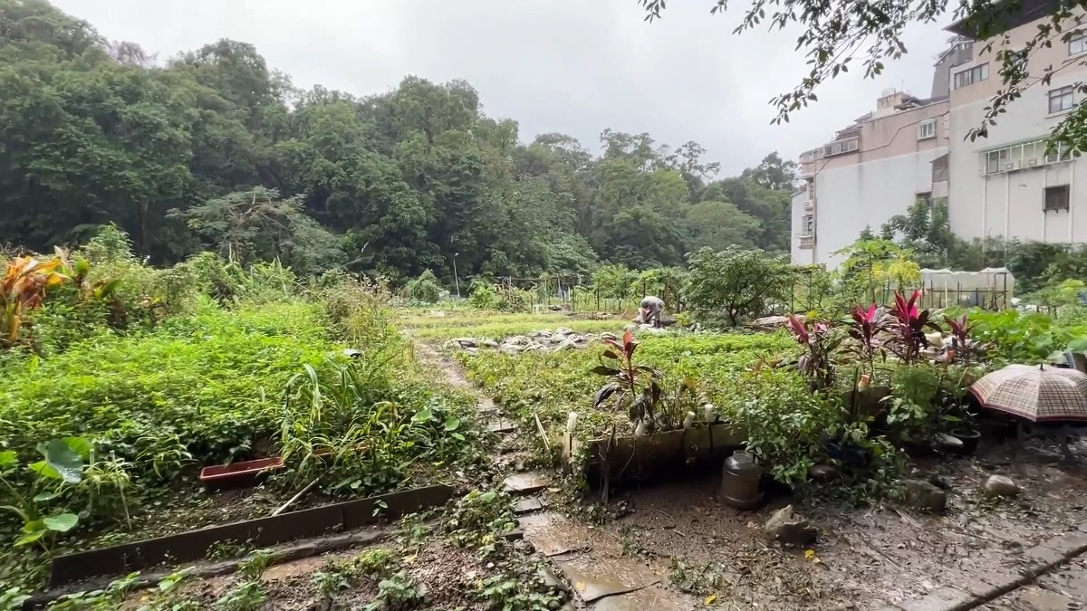 內湖最貴菜園「11.8億」 登今年最貴土地交易