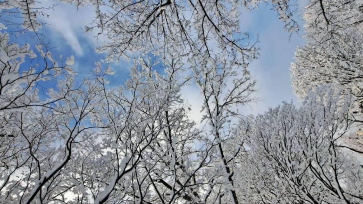 大雪到！6禁忌、7習俗一次看：2地不要去