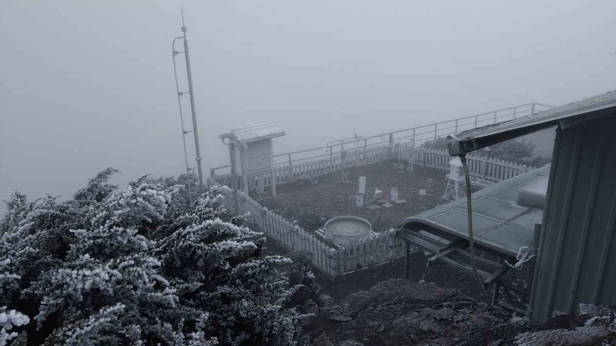 多圖／冷氣團來襲！玉山結霜了 宛如雪國美景