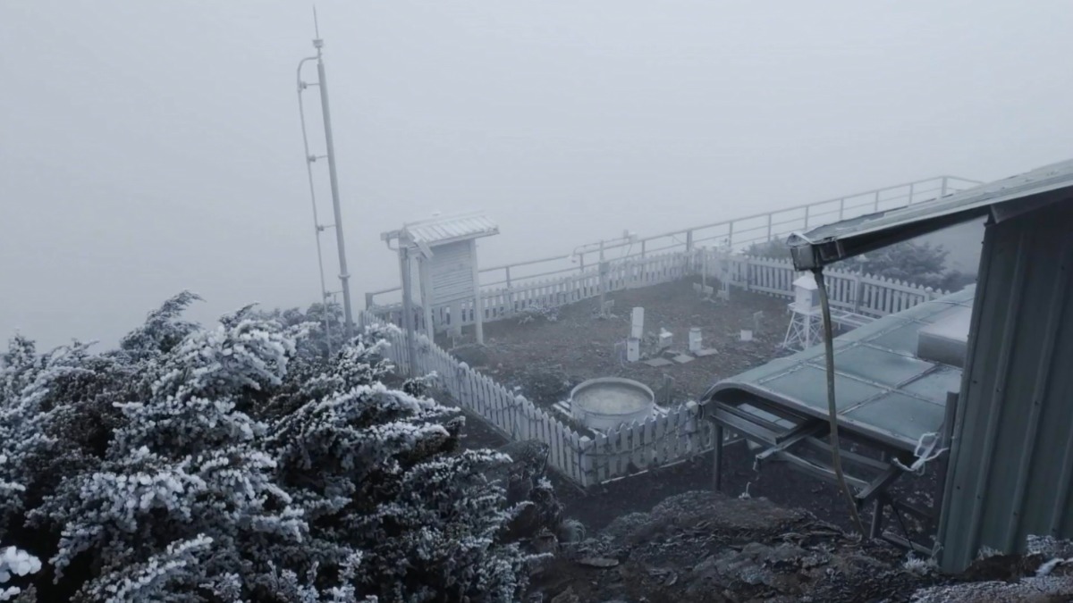 獨家／玉山「-1.6度」樹梢結冰 3千米上高山有降雪機會