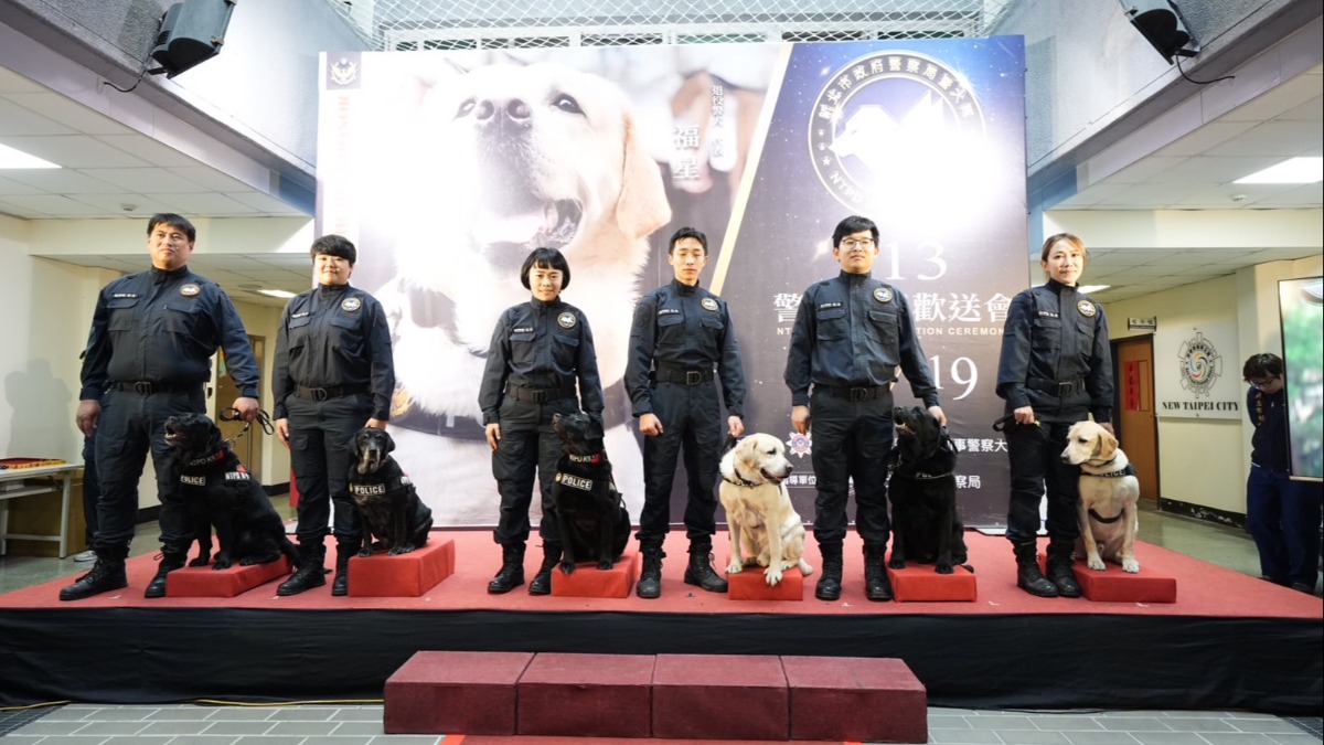 最萌畢業典禮！新北6警犬光榮退役 「福星」下一站曝光