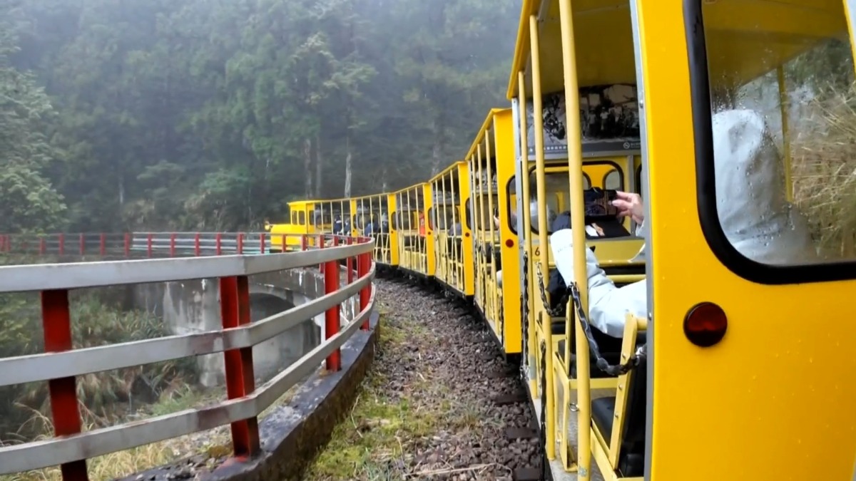 太平山霧茫茫「僅1度」 遊客早起衝上山賞美景