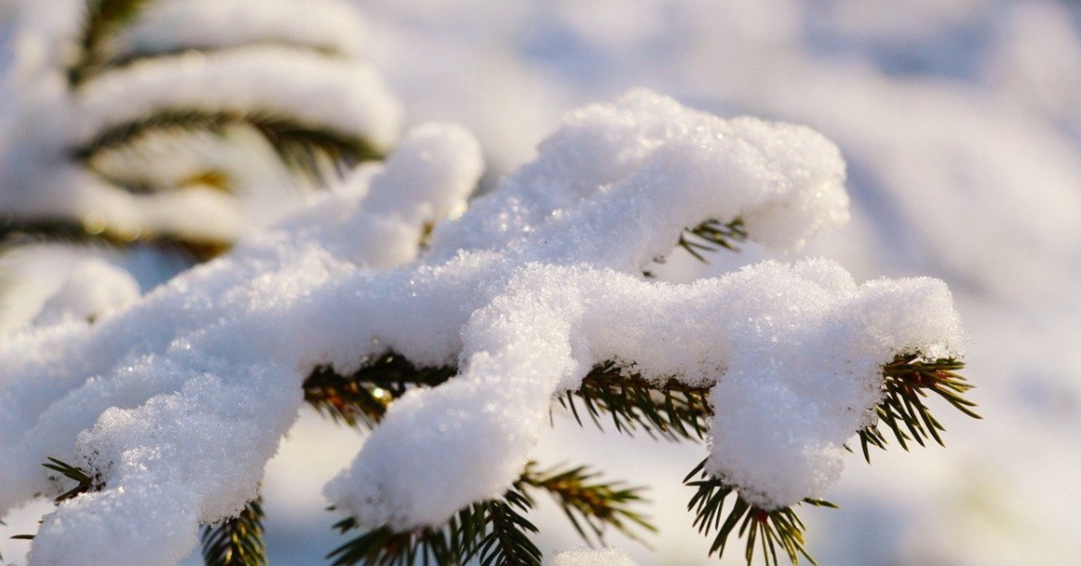 日本九天連假逢大雪! 交通大受影響 積雪覆蓋如小山