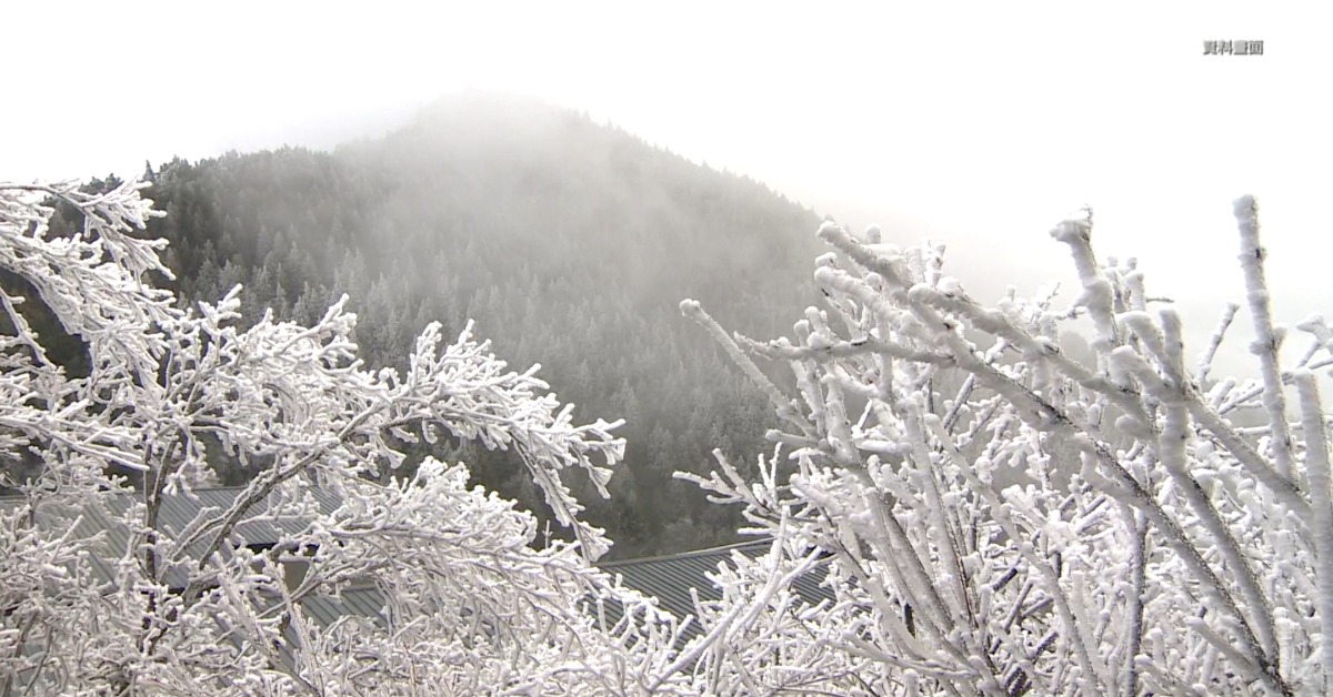 苗栗低溫4.2度！ 周四強烈冷氣團襲 高山有望降雪