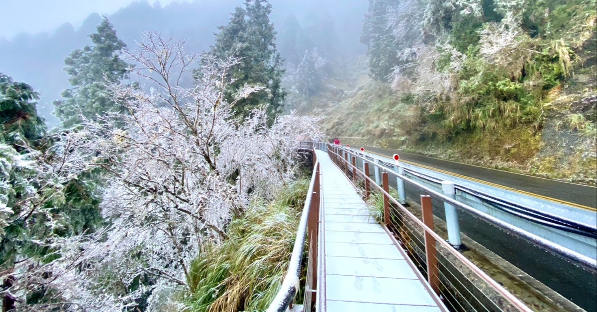 多圖／合歡山、太平山下雪了！假日賞雪地點一次看