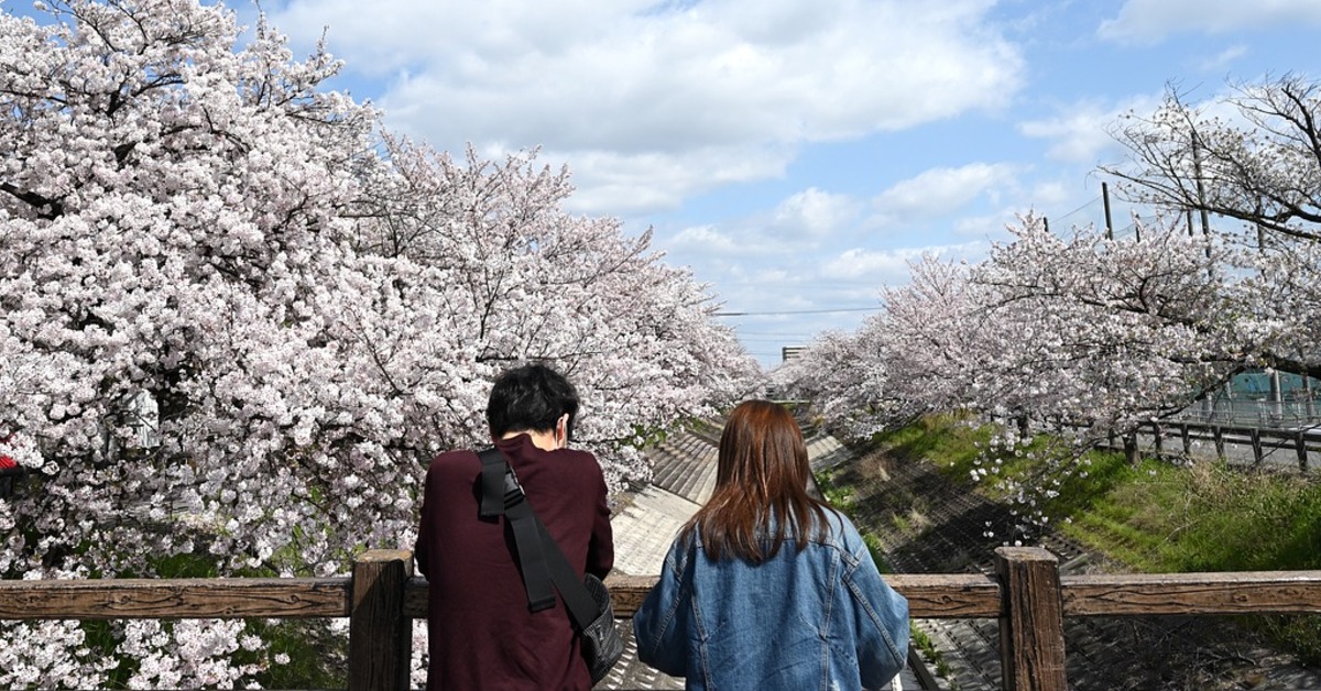 西門町奇景！辣妹擺攤「出租女友」 網揪疑點不買單