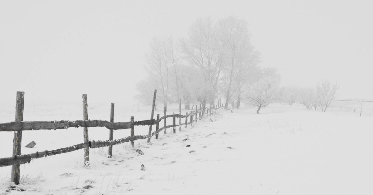 日本「災害級」大雪！ 北海道12小時降雪120公分