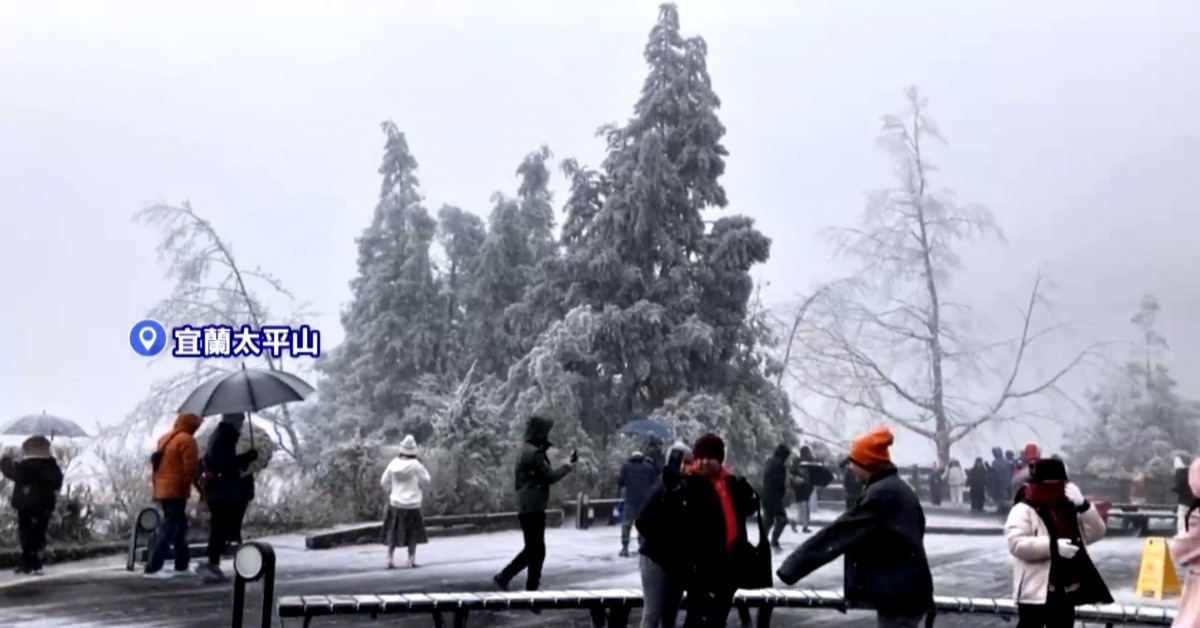 太平山「降冰霰」如雪白世界 冷颼颼晨低溫探-1.3℃