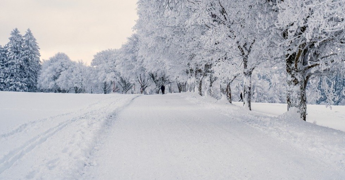 「炸彈低壓」襲日狂風暴雪 北海道紅綠燈慘遭吹斷