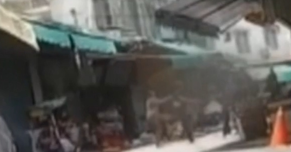 菜市場旁男持蝴蝶刀砍傷老友 攤商們驚聲尖叫's story cover image