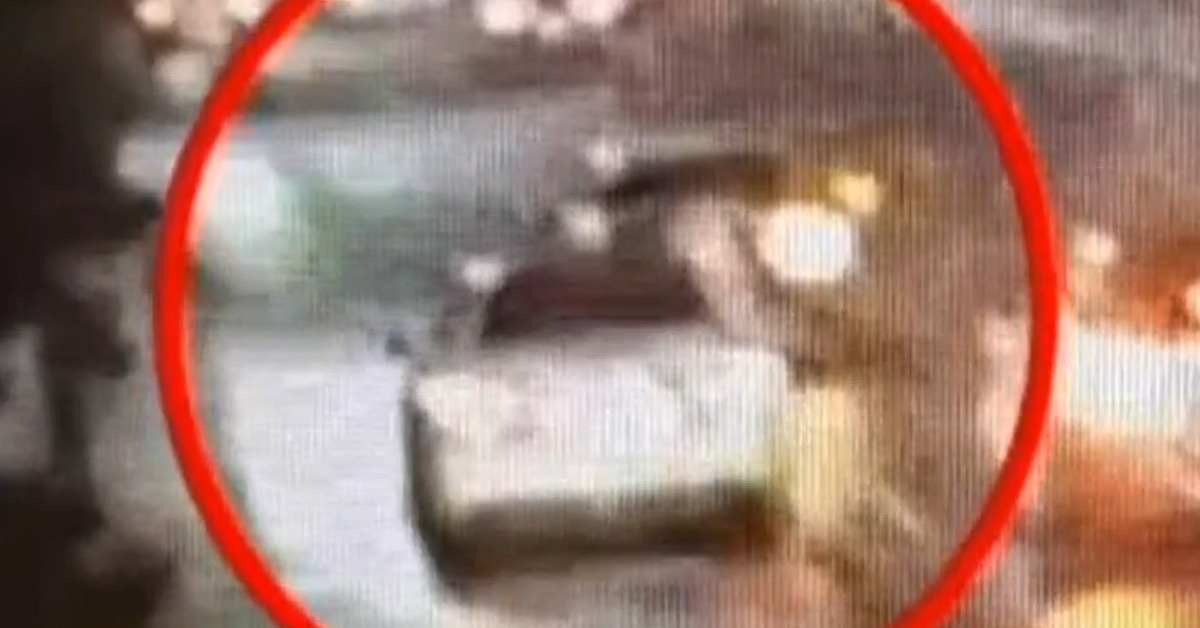 捲友人糾紛遭槍殺 死者女友泣：殺人不需理由's story cover image