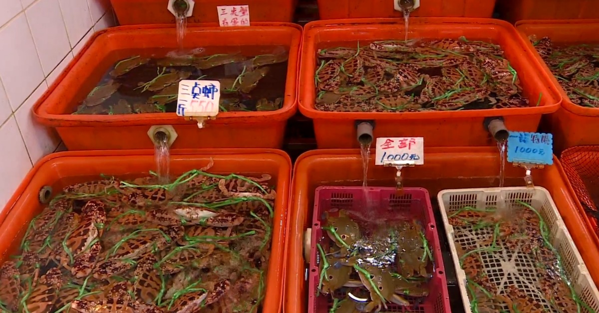 頻遇颱風+共伴效應海況差！ 想吃蟹恐傷荷包's story cover image