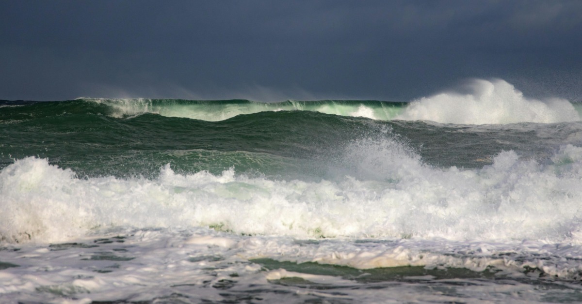 鳳凰侵襲！暴潮沖毀民宅 水淹及膝 菲撤百萬人's story cover image