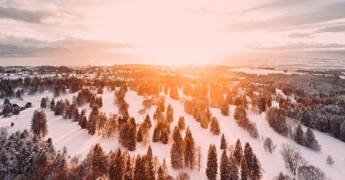 年底最後衝刺！4生肖事業+財運走強 準備發大財's OG Image