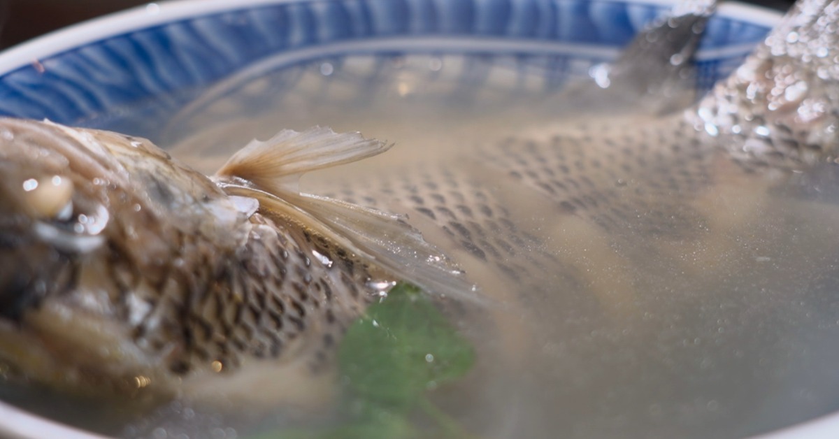 獨家／命名翻身？台灣鯛＝「優質化吳郭魚」糖醋、鹽烤、煲湯客人愛's story cover image