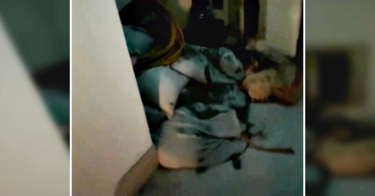 獨家／控大樓逃生梯「堆滿雜物」！日籍租客慘摔「腦震盪」's story cover image