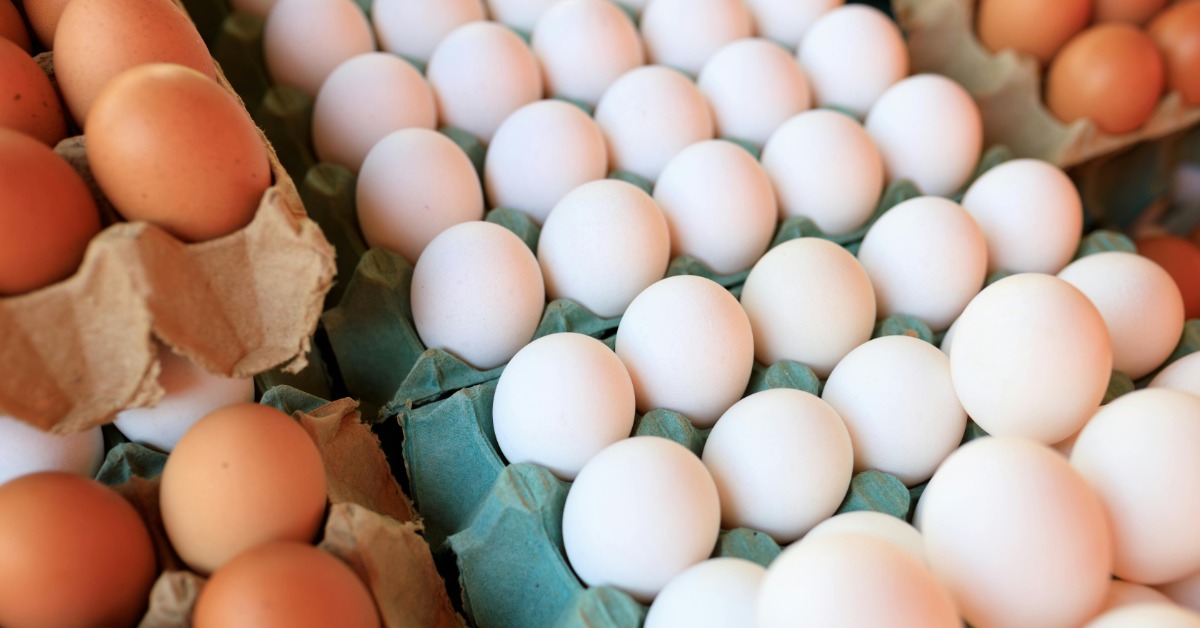 連鎖餐飲限用洗選蛋恐漲價？陳駿季：換算每顆才漲幾毛's story cover image