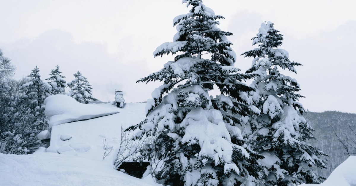 35死393傷！日本極端降雪 回暖慎防雪崩