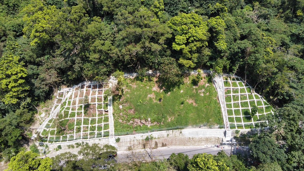 護坡整治「向樹木學習」 貓空草湳橋無框架工法撐過強震與豪雨