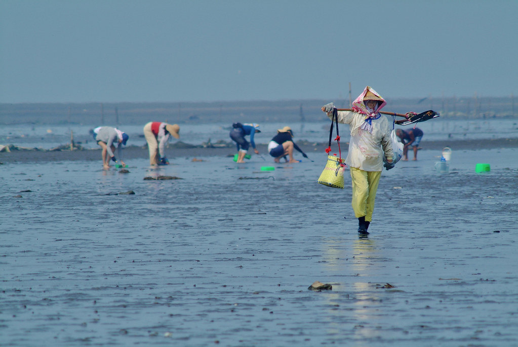 最親人的保護區？ 守著山海，也要顧腳下濕地——看國家公園署如何接住挑戰's story cover image