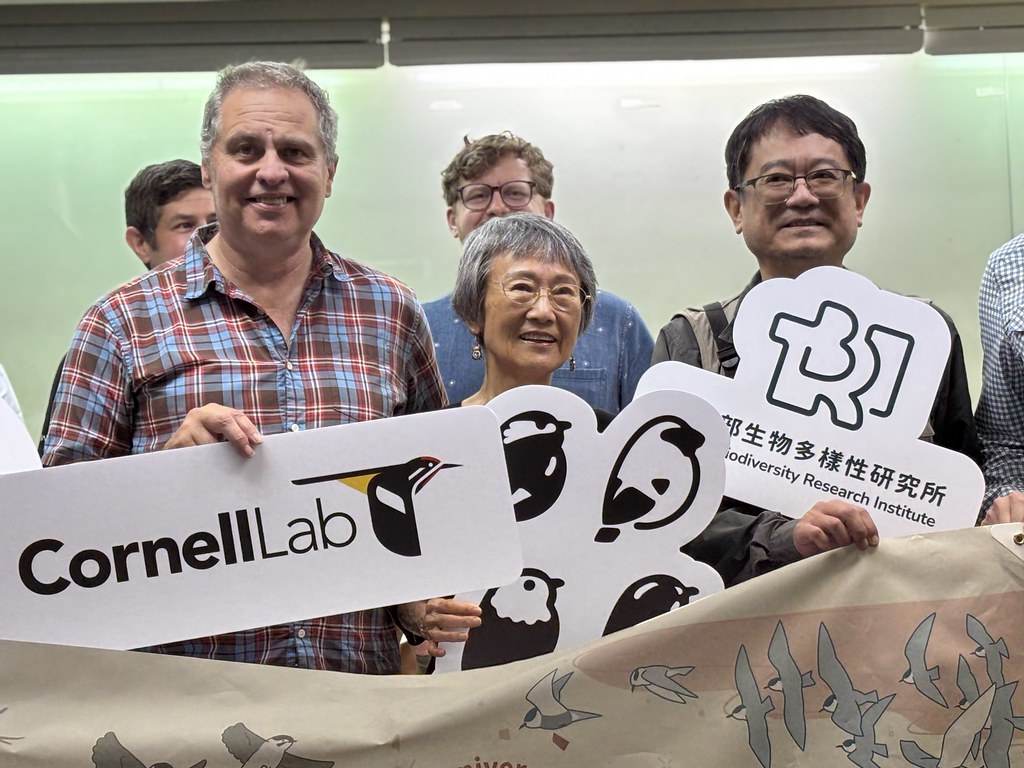 台灣鳥調世界第七 eBird Taiwan十年見證公民科學力量's story cover image