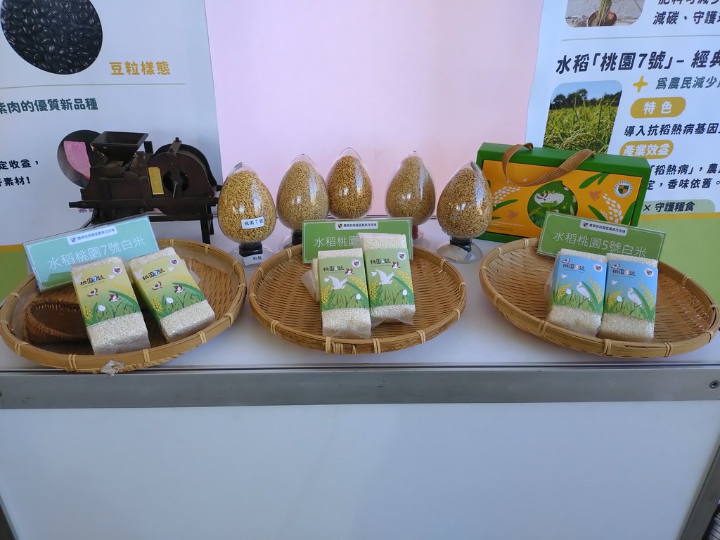 氣候變遷衝擊稻米 農業部推3款新品種：不搶水、少施肥、抗稻熱病